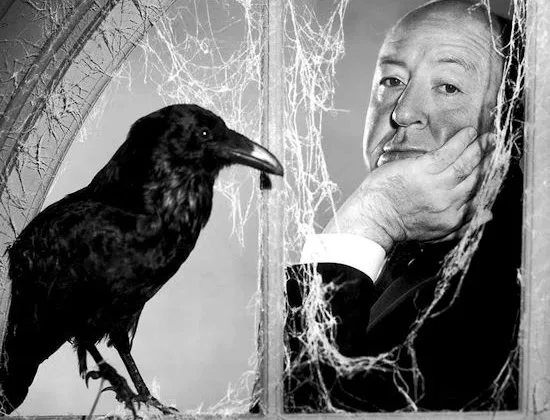 La Conscience des Oiseaux, survivants de petits dinosaures Théropodes. Demain l'Homme