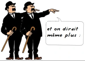 Bon sens : Désinformation, FAKE NEWS, Deepfakes, infox, intox, MENSONGES PAR OMISSION, HOAX, climatoscepticisme, négationnisme, surinformation