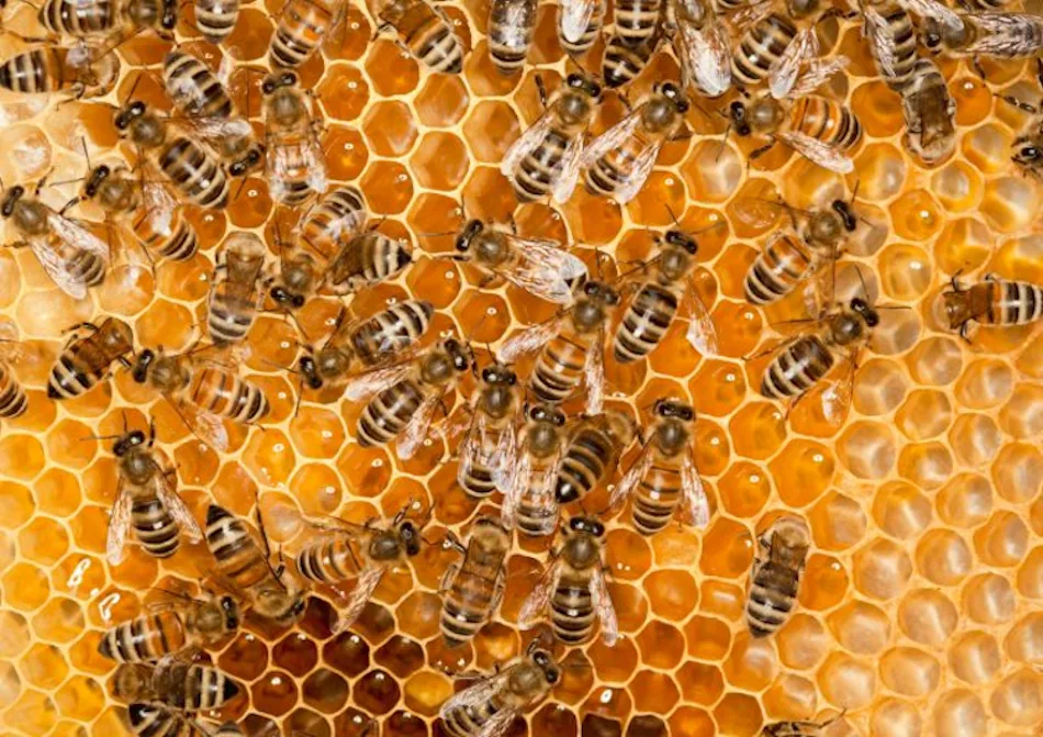 Inégaux de notre vivant, mais tous pareils face à la mort