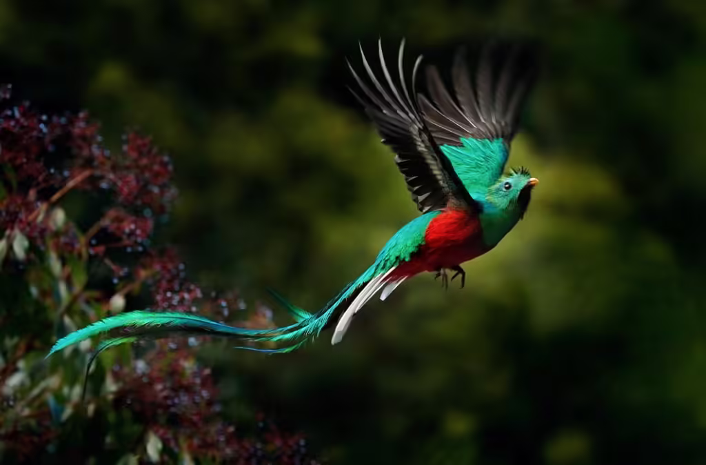 Donnez et adhérez pour préserver la Biodiversité et l'Humanité. Agissez maintenant pour un Avenir où la Paix et la Beauté sont des réalités palpables !!!